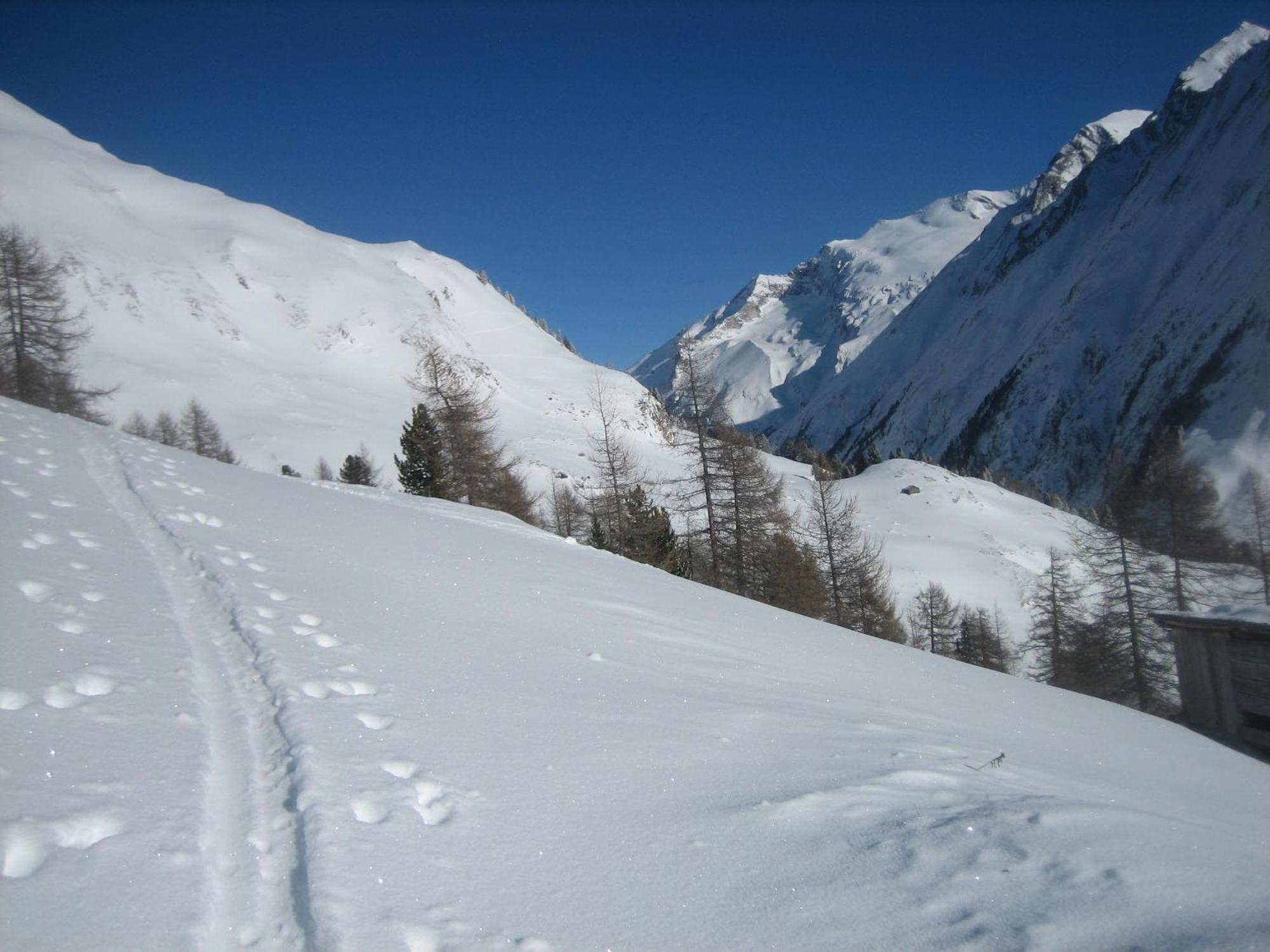 Apartamento Haus Ursula Kals-am Großglockner Exterior foto