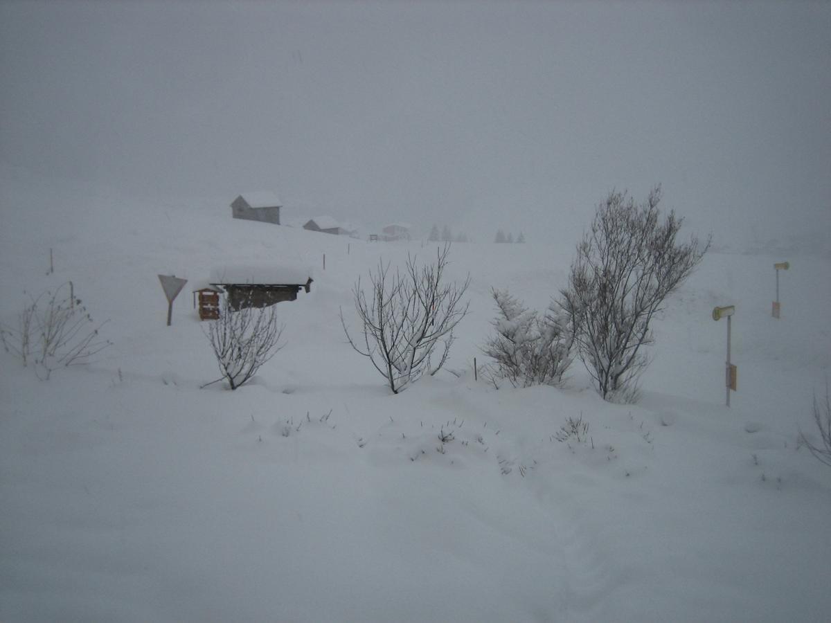 Apartamento Haus Ursula Kals-am Großglockner Exterior foto