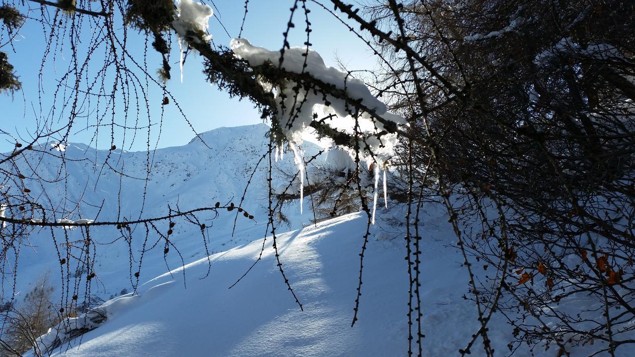 Apartamento Haus Ursula Kals-am Großglockner Exterior foto