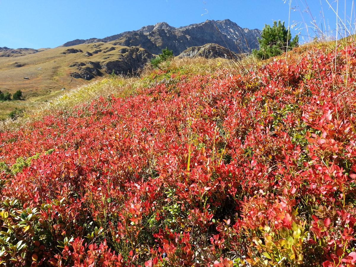 Apartamento Haus Ursula Kals-am Großglockner Exterior foto